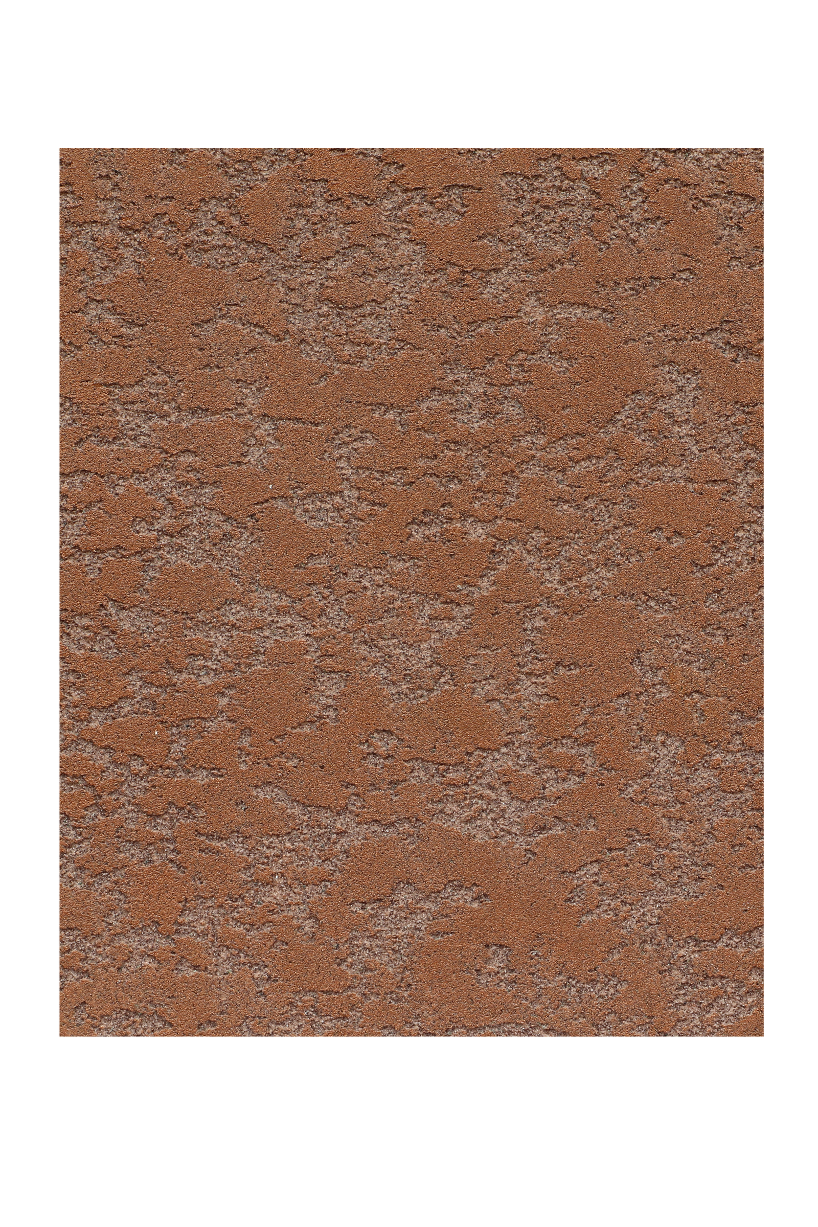 Cicero Surface